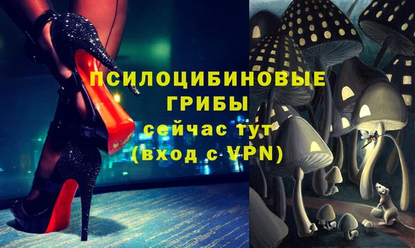 PSILOCYBIN Наволоки