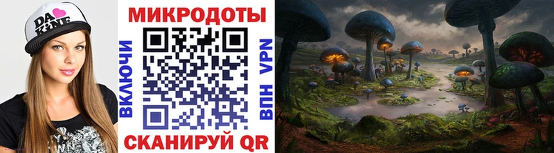 Псилоцибиновые грибы прущие грибы  Владивосток 