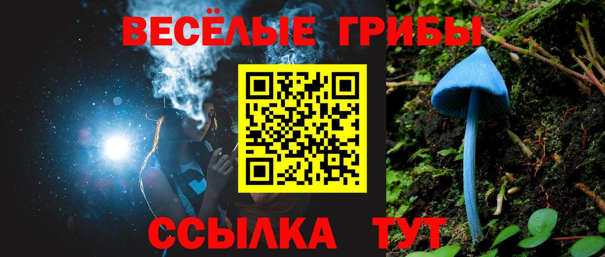 Владивосток  Псилоцибиновые грибы прущие грибы  Вход с VPN 