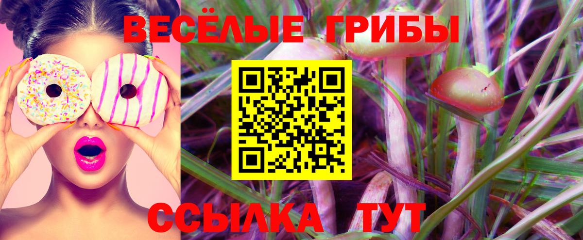 что такое наркотик  Владивосток  Галлюциногенные грибы Magic Shrooms 