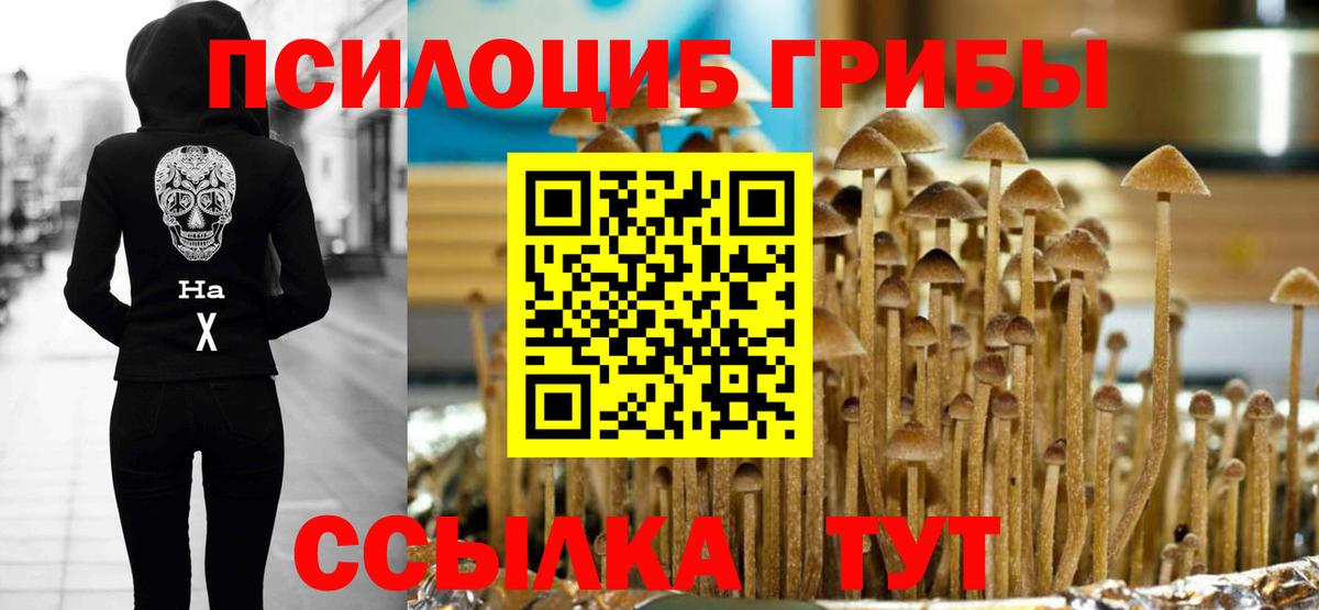 Псилоцибиновые грибы прущие грибы Владивосток